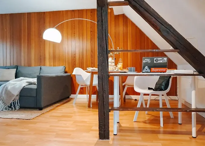 Lägenhet Rooftop-apartment Zentral Gelegen In Düsseldorf