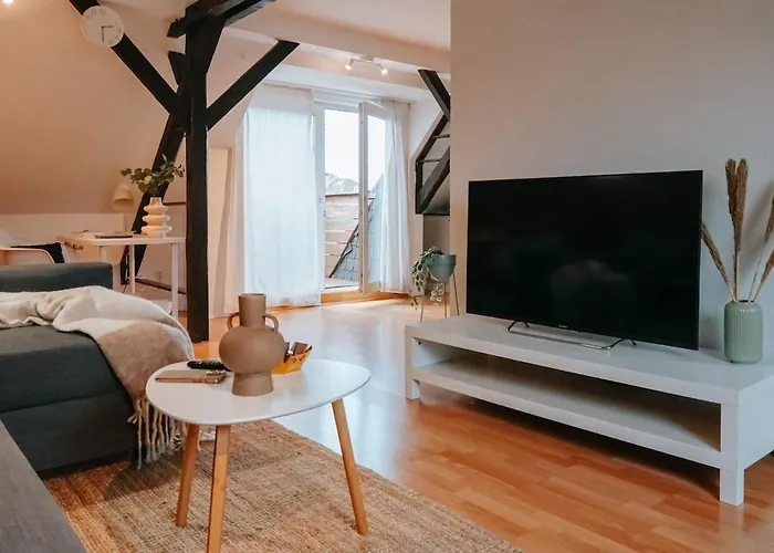 Rooftop-apartment Zentral Gelegen In Dusseldorf